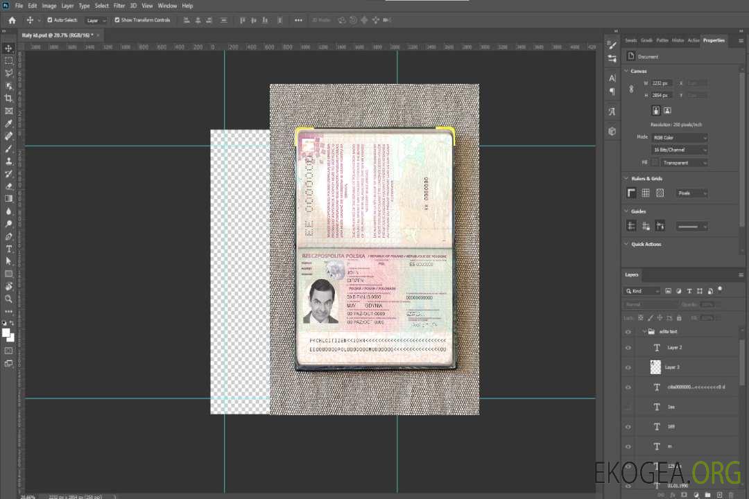 Aperçu photo du passeport polonais (2011-2018) template
